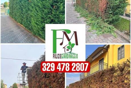 Fm Impresa Pulizie e Giardinaggio