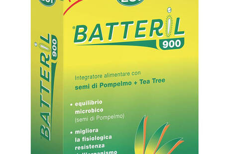 Batteril 900